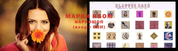 эйфоретик Аркадак