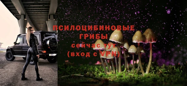 эйфоретик Аркадак