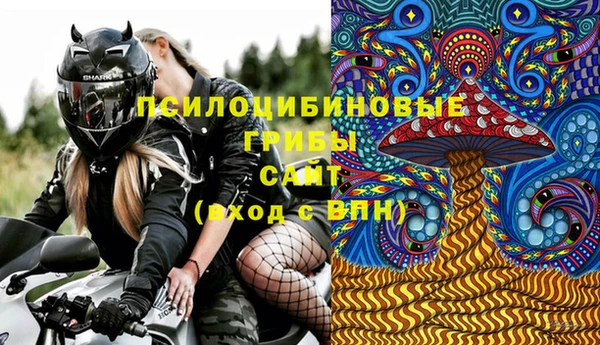 спиды Арсеньев