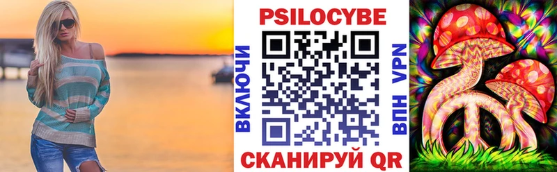 хочу   Сураж  Псилоцибиновые грибы мухоморы 
